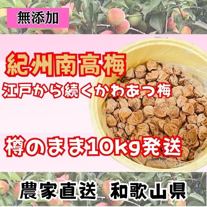 おすすめ 限定！ 紀州南高梅 樽 10kg かわあつ梅 無添加 和歌山 紀州 白梅 その他 加工食品