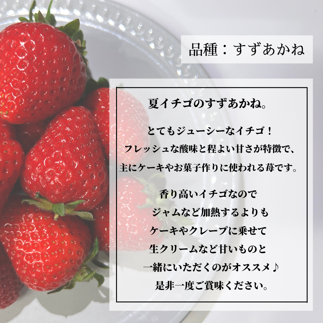 ✨大好評✨青森県産　夏イチゴ　小粒規格外　2kg 苺　いちご-3