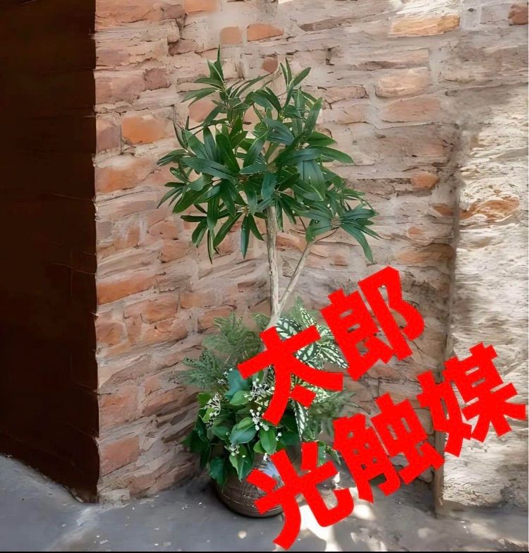 光触媒 人工観葉植物 ウォールグリーン フェイクグリーン フレッシュ