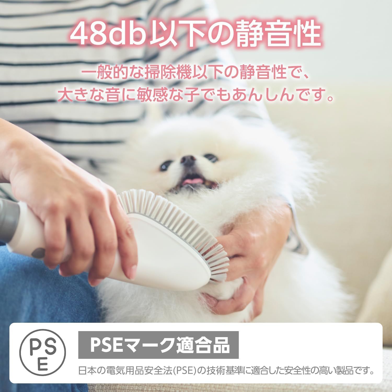 新生活応援フェア開催中
