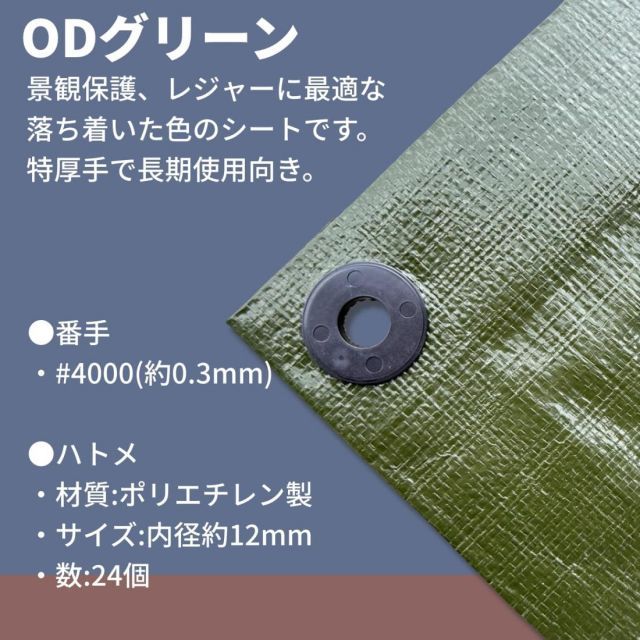 4000 特厚手ODグリーンシート