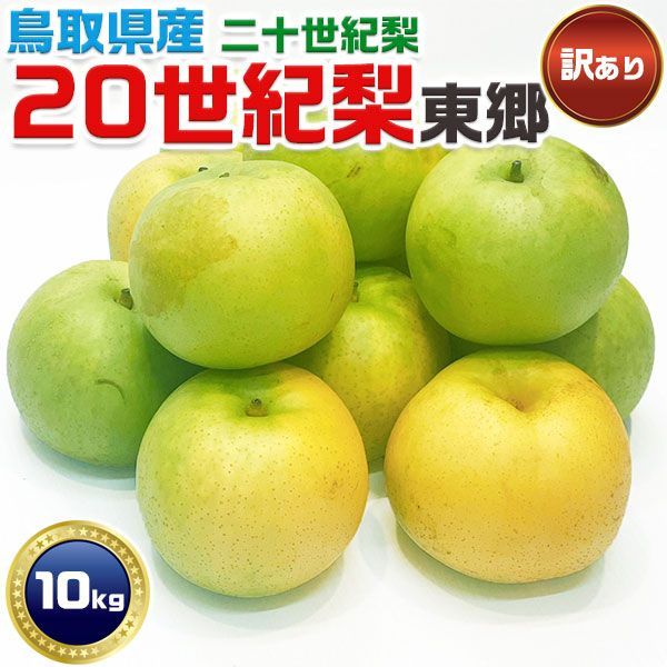 20世紀 梨 東郷 鳥取県産 二十世紀 約10Kg 鳥取ブランド ご家庭用 家庭用ギフト 予約 9月中旬以降の出荷予定