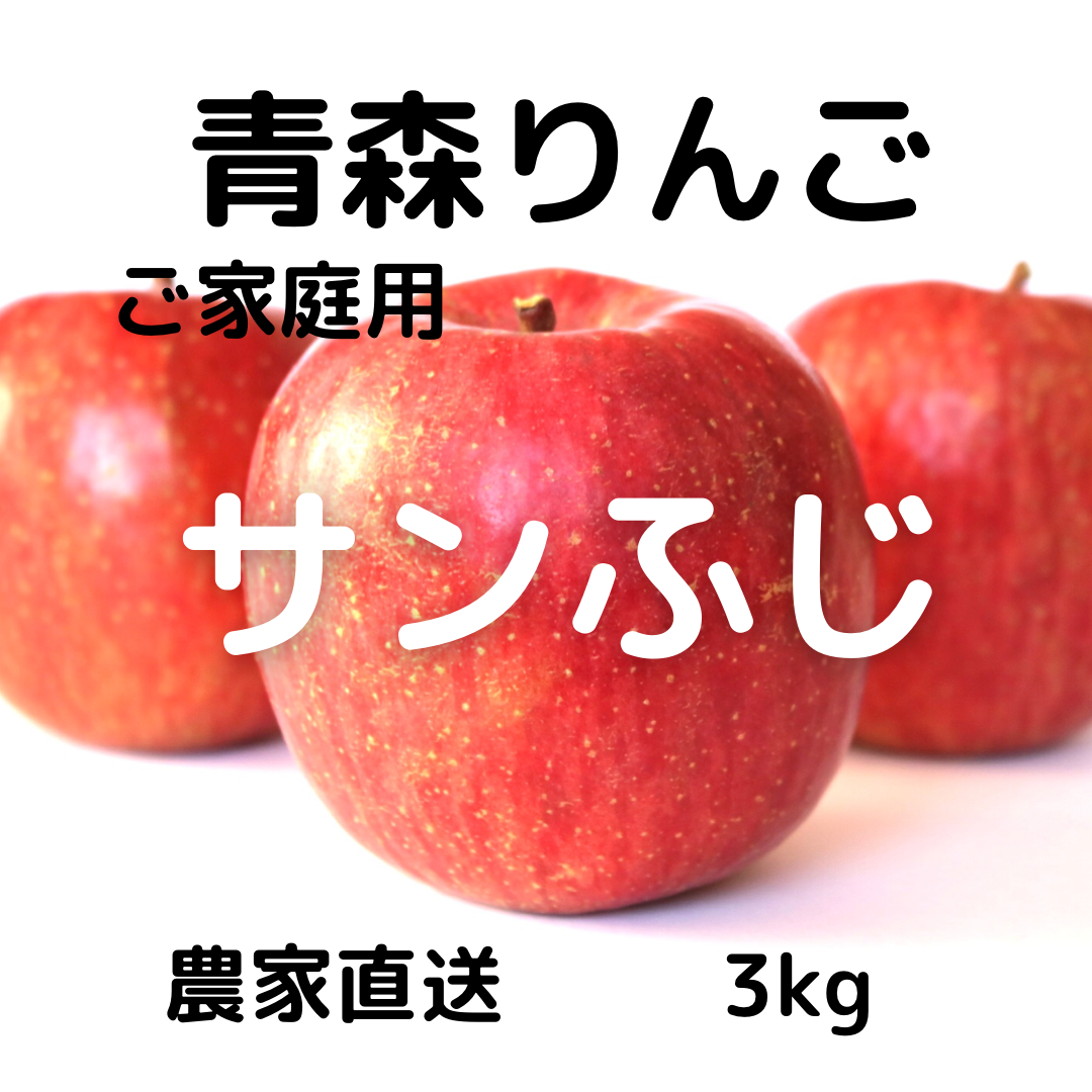 青森県産りんご　サンふじ　3kg-0