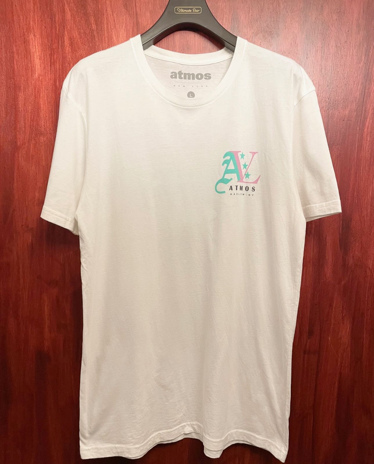 激レア MADE IN USA製 ATMOS NEW YORK × DIPLOMATS バックプリントT 