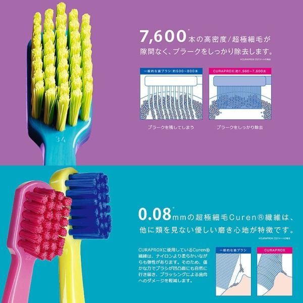 12本 クラプロックス