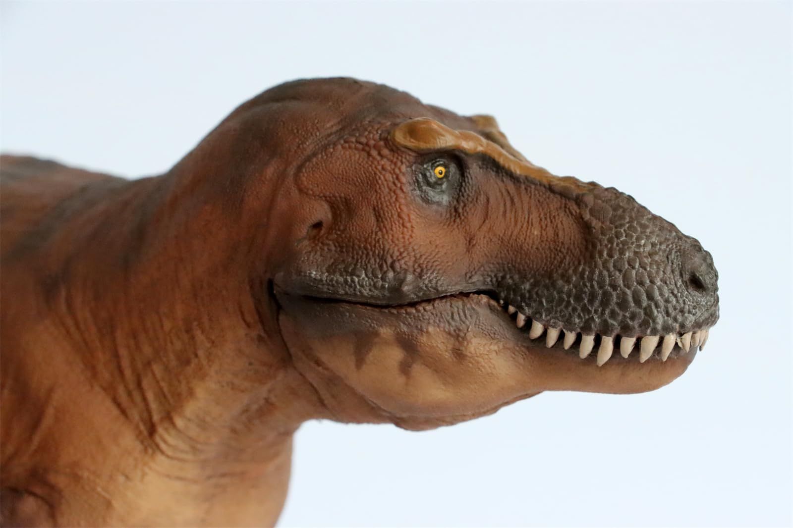 PNSO 恐竜博物館 1/35 サイズ ティラノサウルス T-REX フィギュア キャメロン 35cm級 頭蓋骨付属 口開閉可能 塗装済 肉食 恐竜  リアル PVC おもちゃ 科学 芸術 模型 恐竜好き プレゼント プレミアム スタチュー - メルカリ