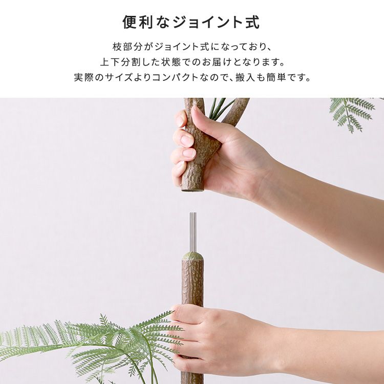 エバーフレッシュ Mサイズ