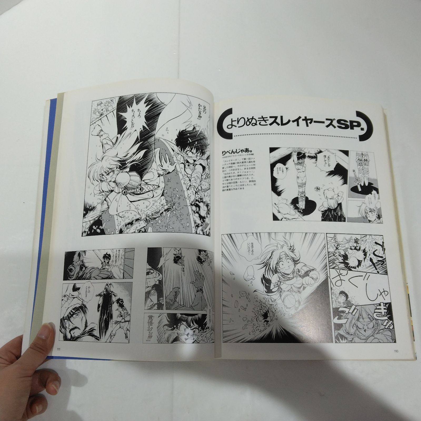 絶版希少】スレイヤーズ あらいずみるい画集 DRAGON MAGAZINE SPECIAL