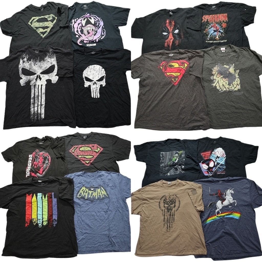 古着卸 まとめ売り マーベル DCコミック 半袖Tシャツ 16枚セット (メンズ 2XL ) キャラクター 映画 スパイダーマン 中古 古着 MY9614