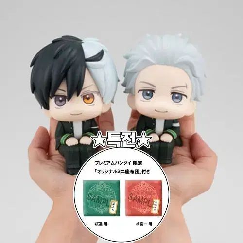 ウインドブレーカー さくら はるか うめみや ハジメ るかっぷ セット 特典 付き