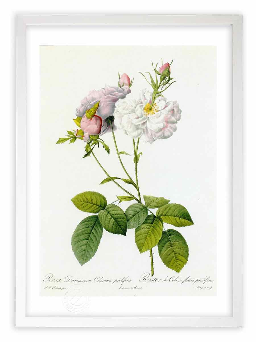 絵画インテリア絵油絵uF6-112402花（ゆり） 絵画 インテリア 絵 油絵