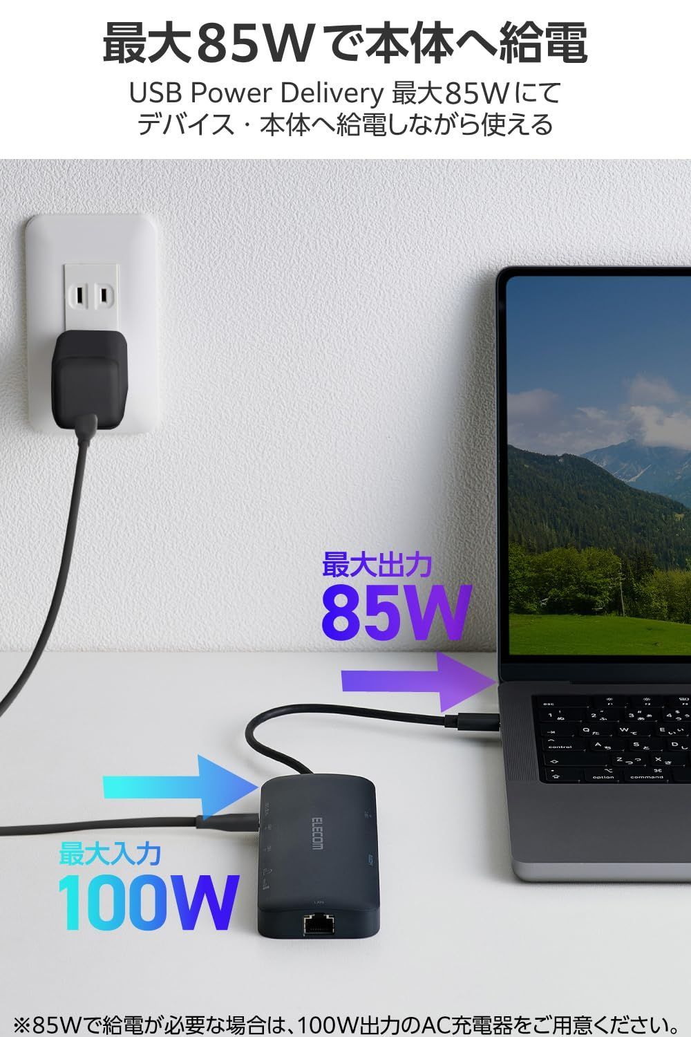 PD100W