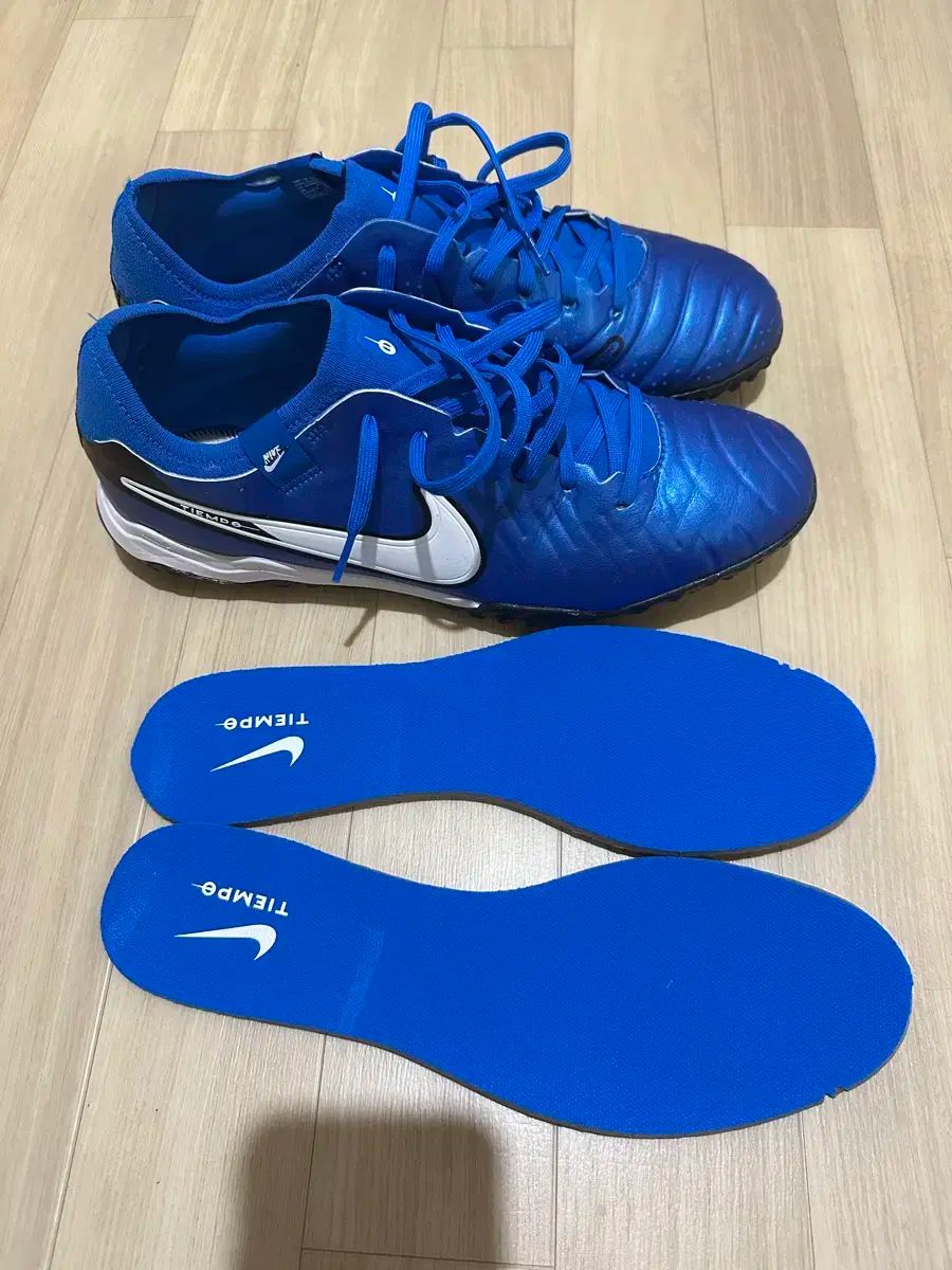 ナイキ ティエンポ レジェンド 10 プロ TF 290