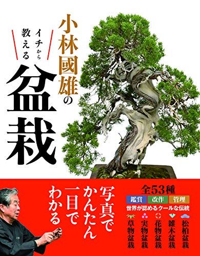 盆栽芸術 地 小林國雄の世界 盆栽芸術-地: 小林國雄の世界 | 小林 國雄 |本 | 通販 | Amazon