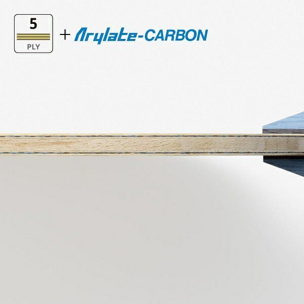 バタフライ アウターフォース ALC AN アナトミックシェークハンド卓球