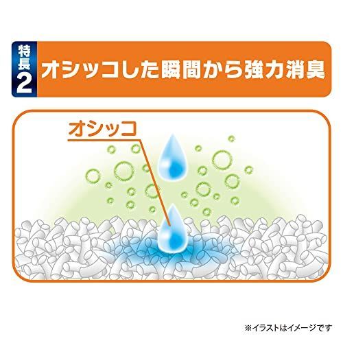 30L5L×6 おしっこ