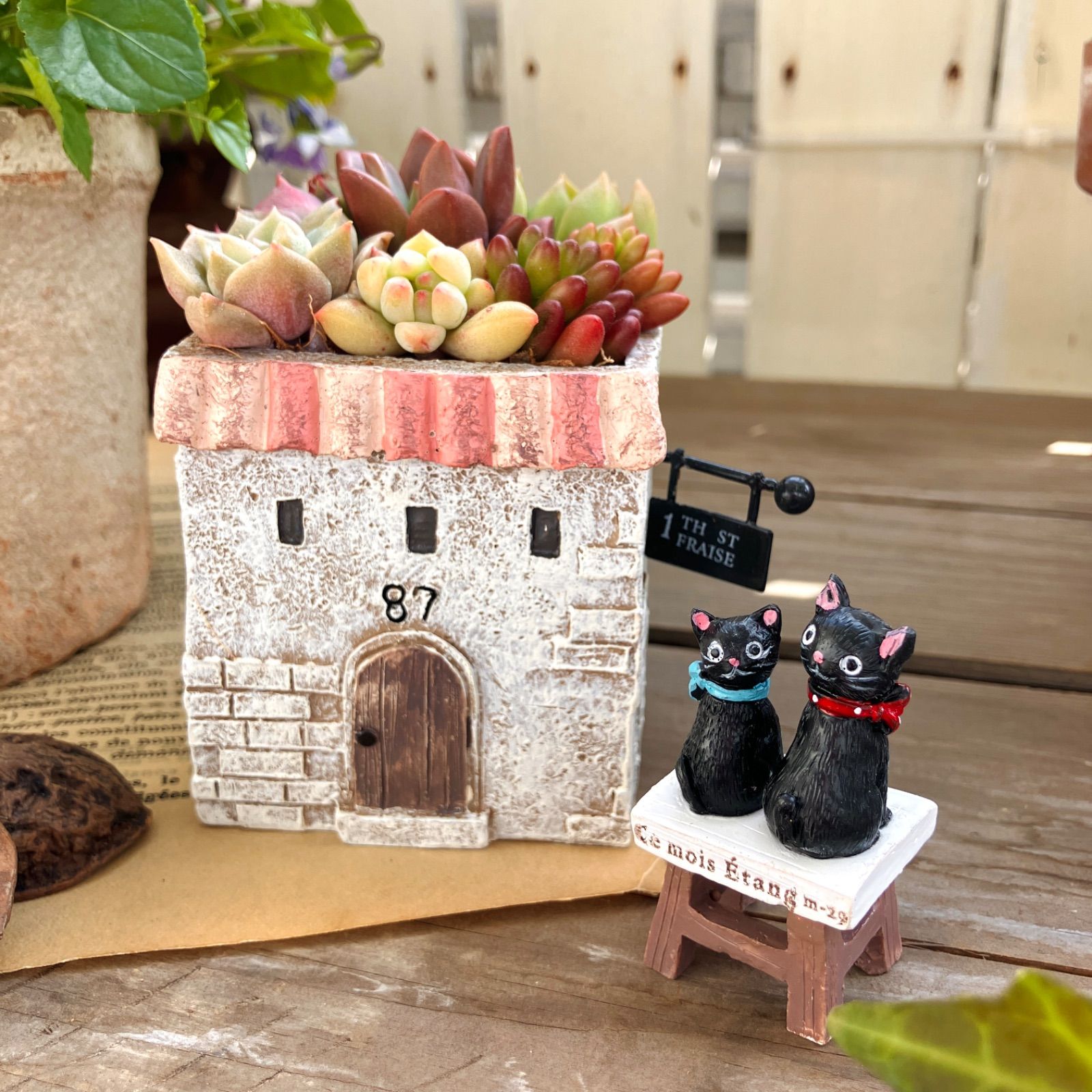 お家プランターと黒猫の2点セット 多肉植物鉢 ガーデニング雑貨