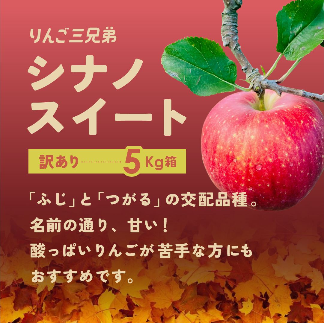 010-16】信州のシナノスイート 訳あり 5キロ！ 信濃三兄弟の一つ