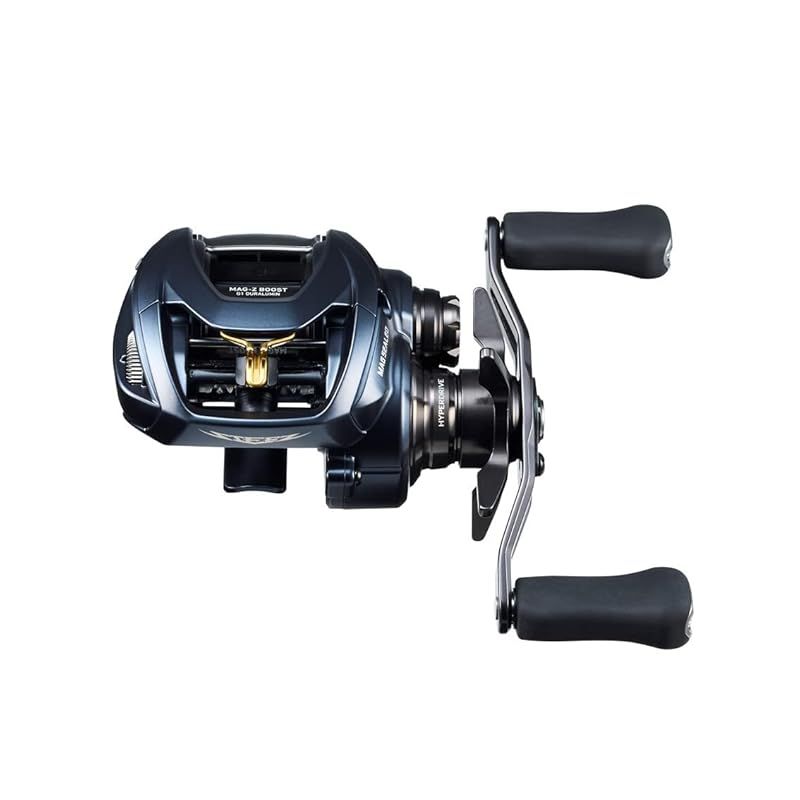 ダイワ(DAIWA) ベイトリール STEEZ(スティーズ) AII TW 1000L 2022年