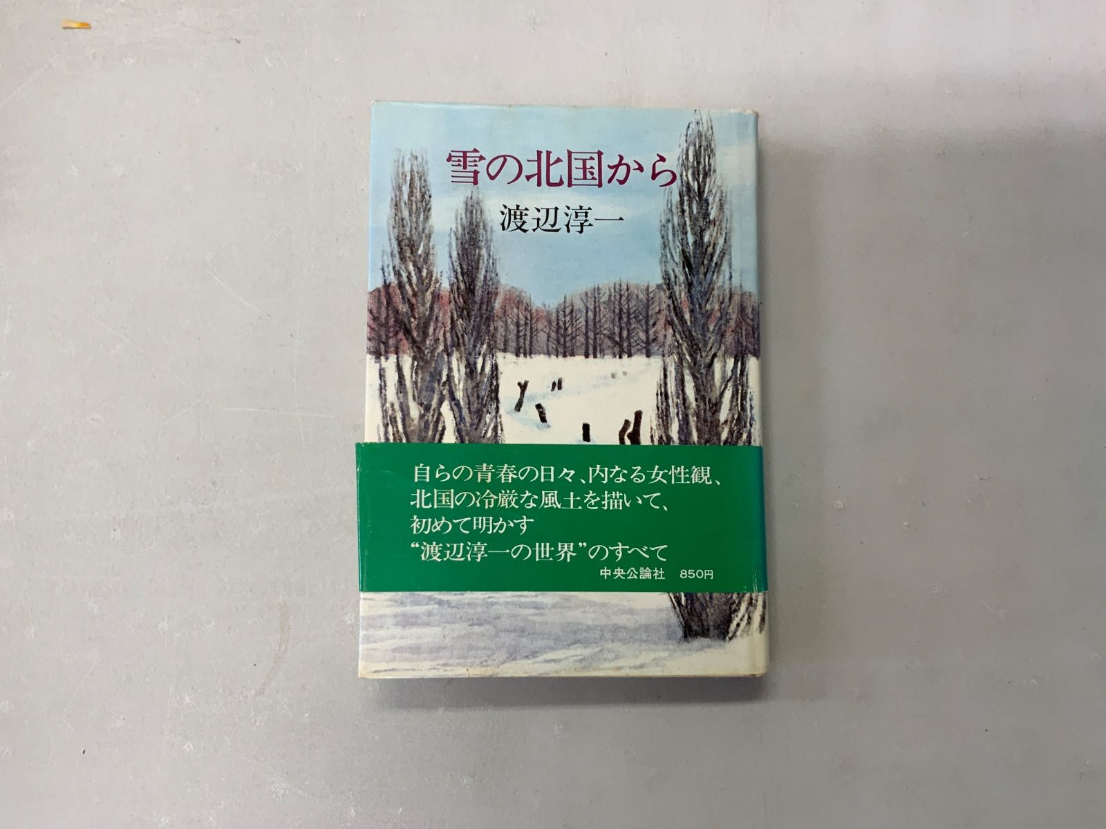 【中古】 雪の北国から/中央公論新社/渡辺淳一 中公文庫 雪の北国から 渡辺淳一 中央公論社 - メルカリ