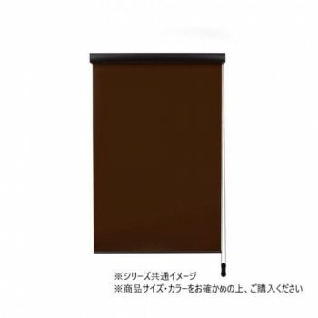 ロールスクリーン エクシヴ 遮光タイプ 幅180×高さ220cm 遮光ブラウン L3540