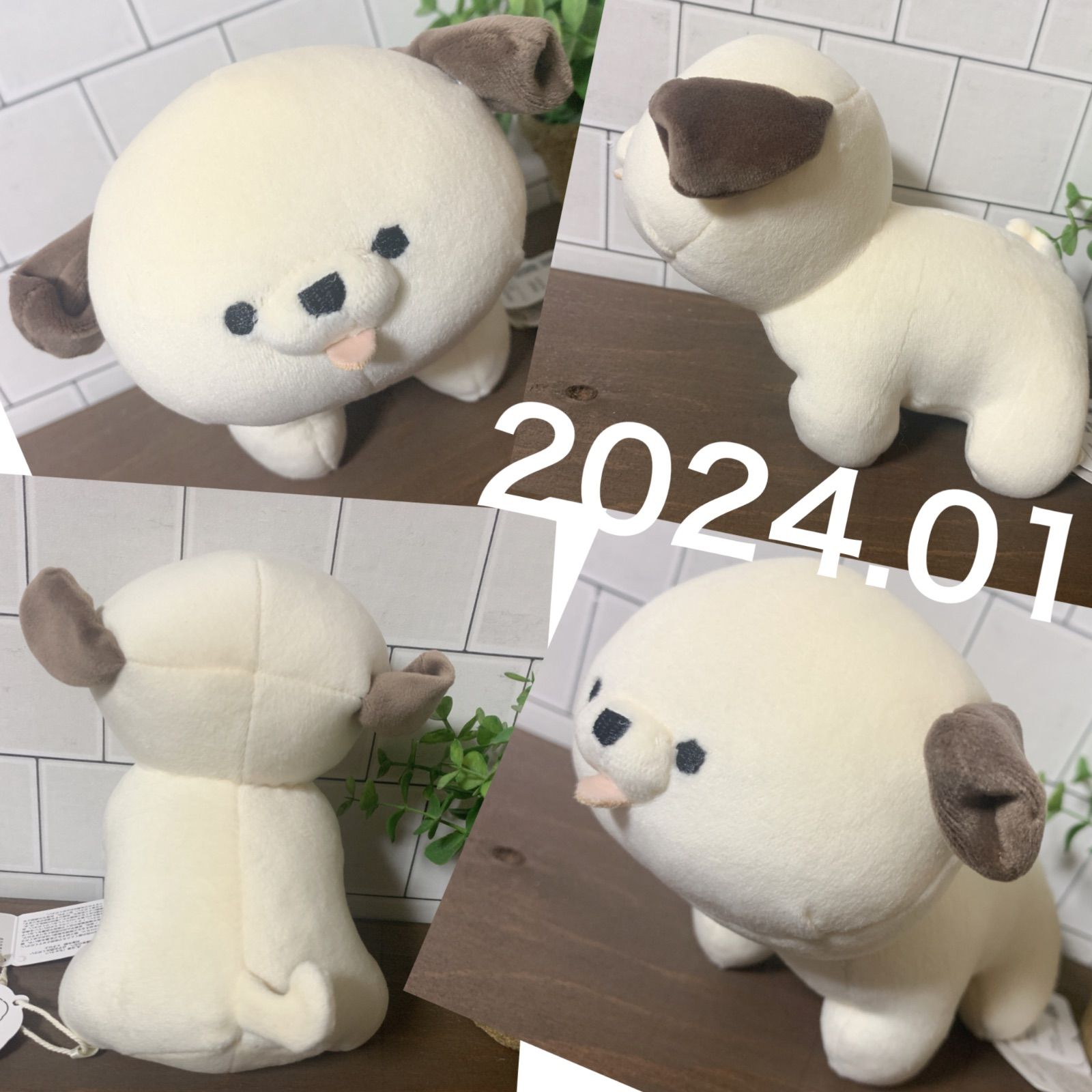 テノリマスコット 2体セット 犬 いぬ イヌ フレンチブルドッグ