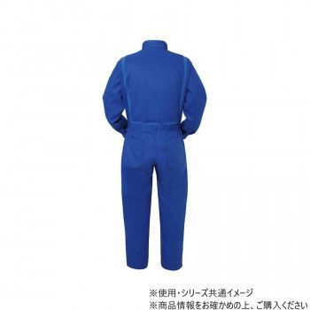 ブルー 5L