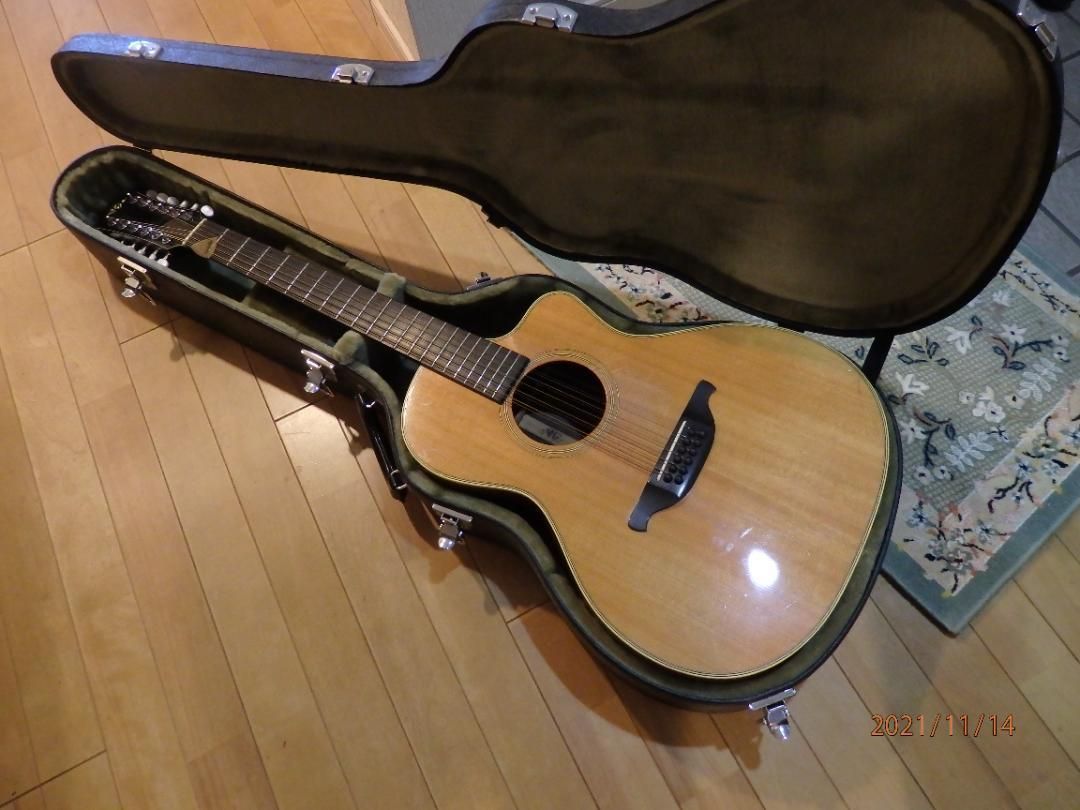 ESP-Infie EY500 THE ALFEE 坂崎幸之助 寺田楽器 VG-