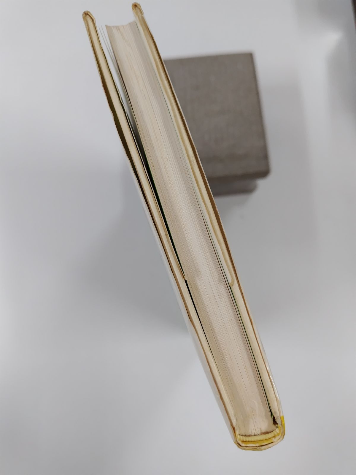 のらいぬロクと4人組 初版 岩下郁子 高橋透 絵 ポプラ社 - メルカリ