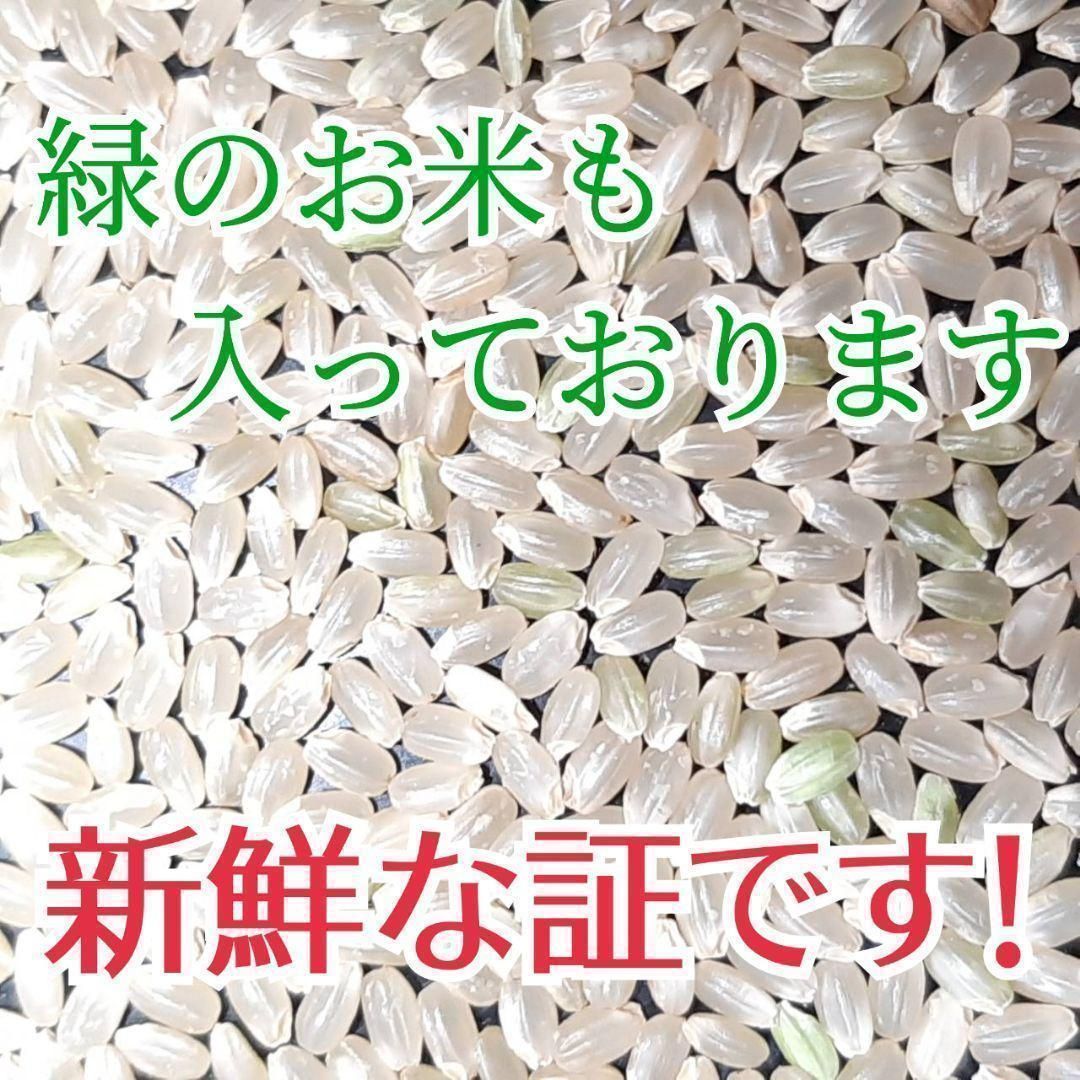 さいたま市で取れたお米です。令和3年度 - 食品