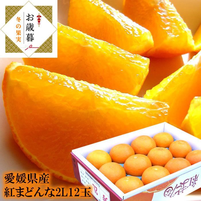 紅まどんな 紅マドンナ 愛媛産 紅まどんな2L12玉 お歳暮 冬ギフト 内祝い 出産内祝い お祝い 謝礼 お礼 お見舞い 快気祝い お供え ご霊前 11月下旬より順次発送開始です