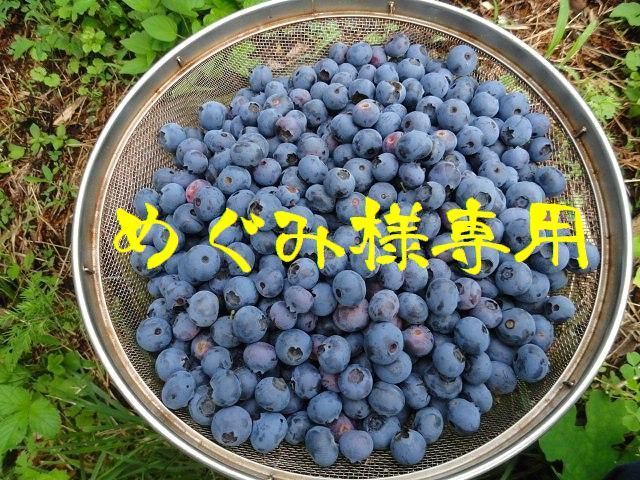 めぐみ様 ブルーベリーミックス４㎏＋α