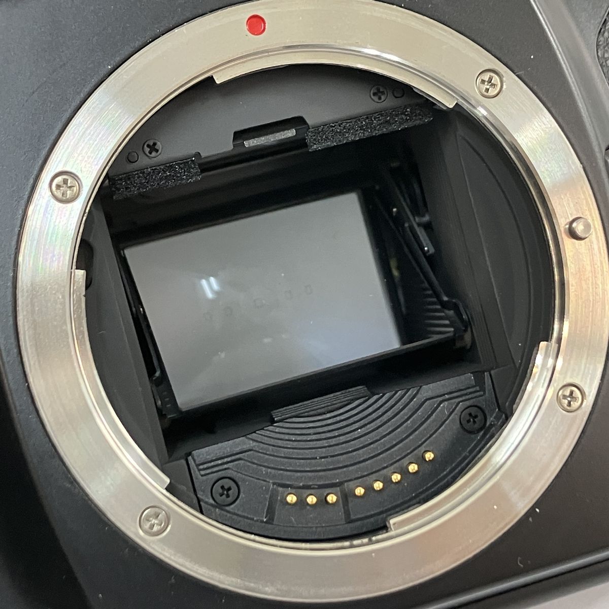 EOS-1N 一眼レフフィルムカメラ