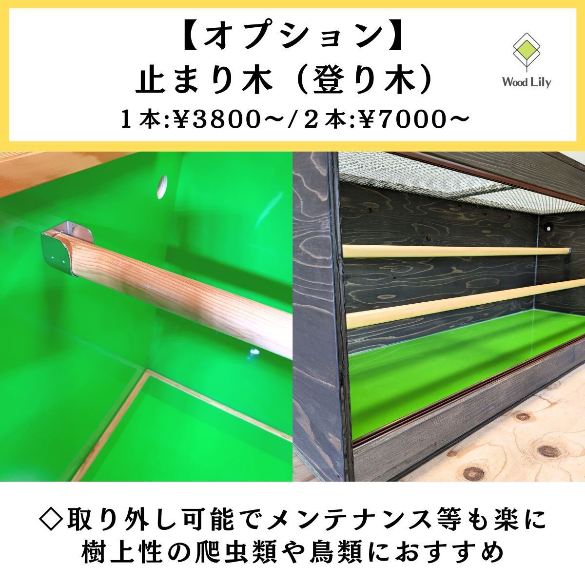 強固な爬虫類「標準ケージ」180×60×60cm #送料無料 #爬虫類ケージ