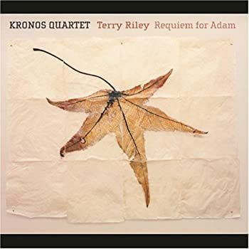 Terry Riley OST Lifespan 仏LP テリー・ライリー Terry Riley (テリー・ライリー)『ア・レインボー・イン