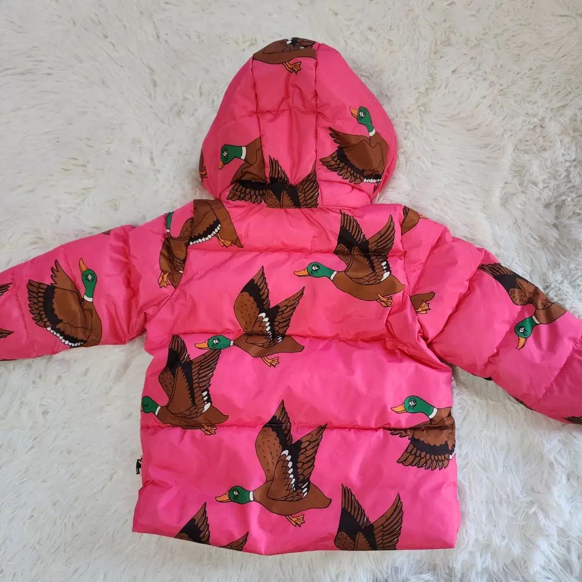 またはフグ Mini Rodini(ミニロディーニ) 80 ー 86