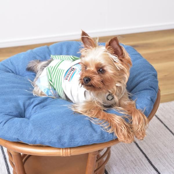 犬