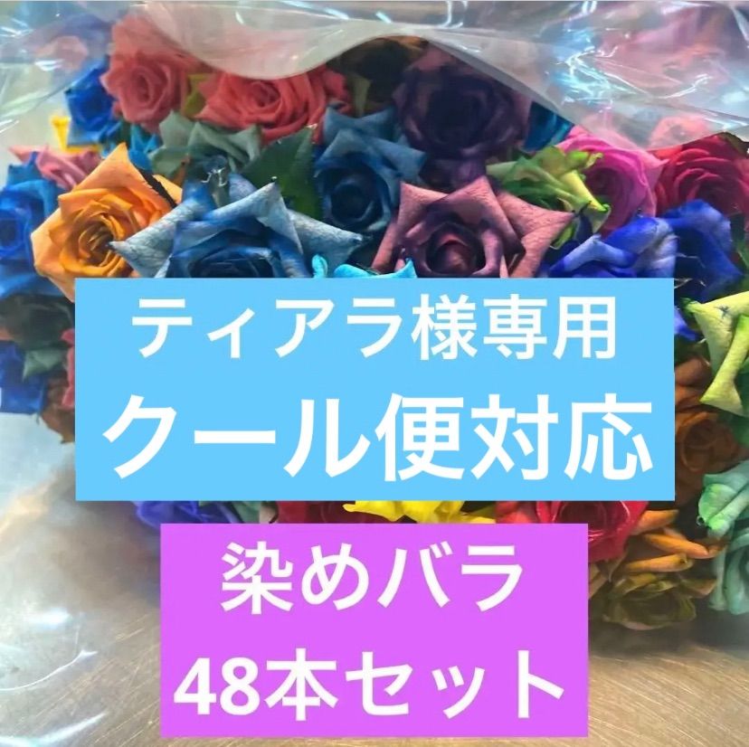 ティアラ様専用 バラ 切り花 生花 染めバラ混合48本セット販売