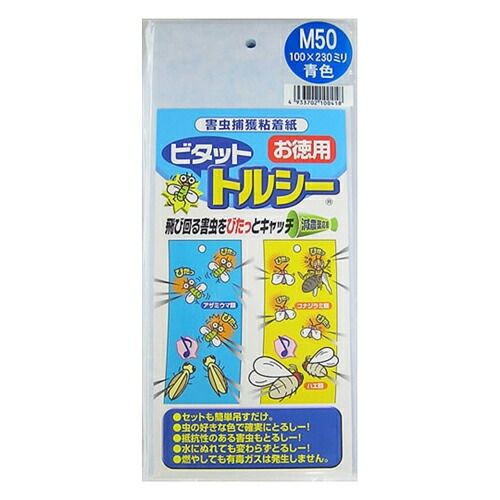 Paul Klee、DER KUNFTIGE、海外版超希少レゾネ