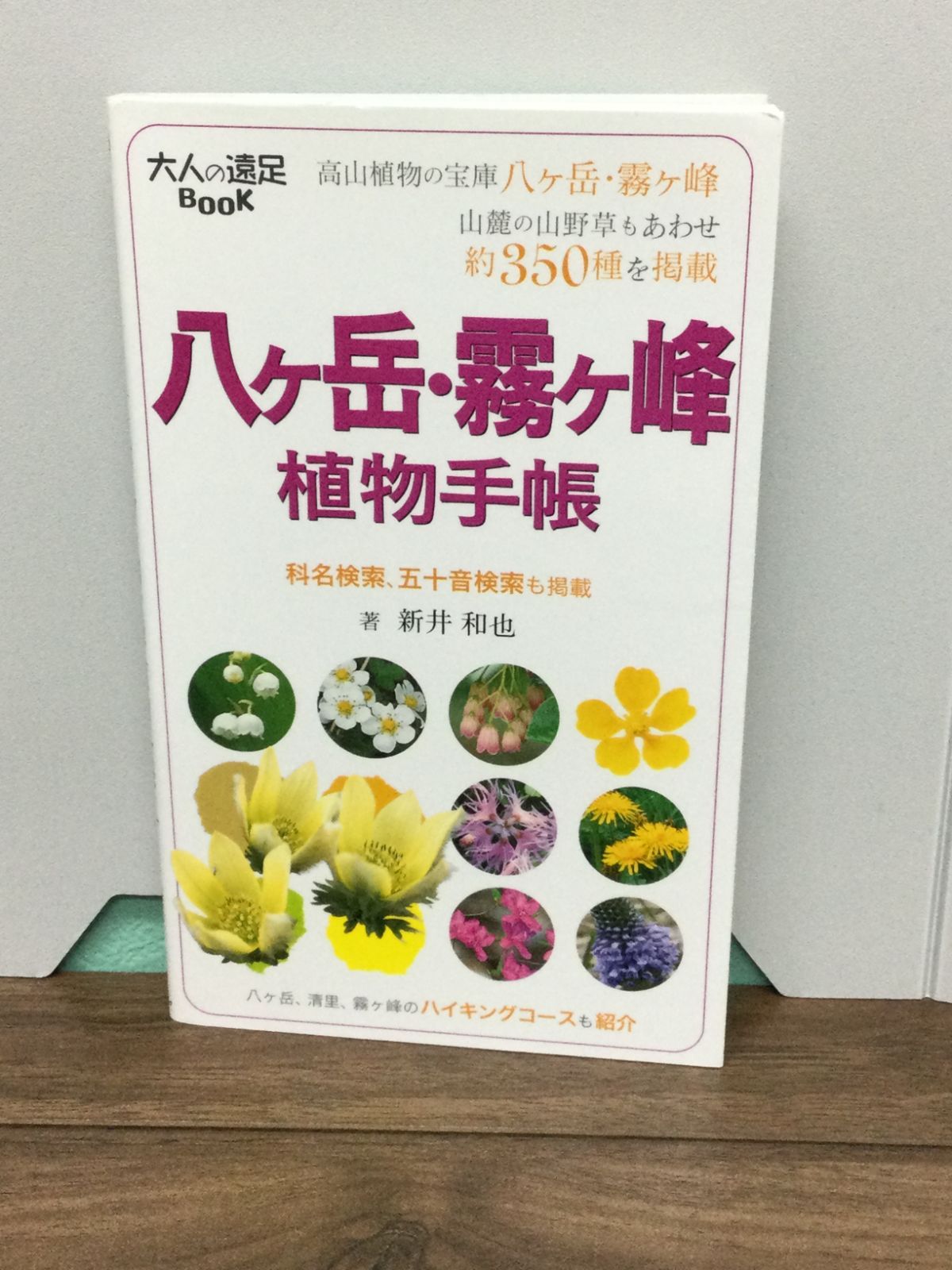 八ヶ岳・霧ヶ峰 植物手帳 (大人の遠足BOOK) 新井 和也 著 - メルカリ