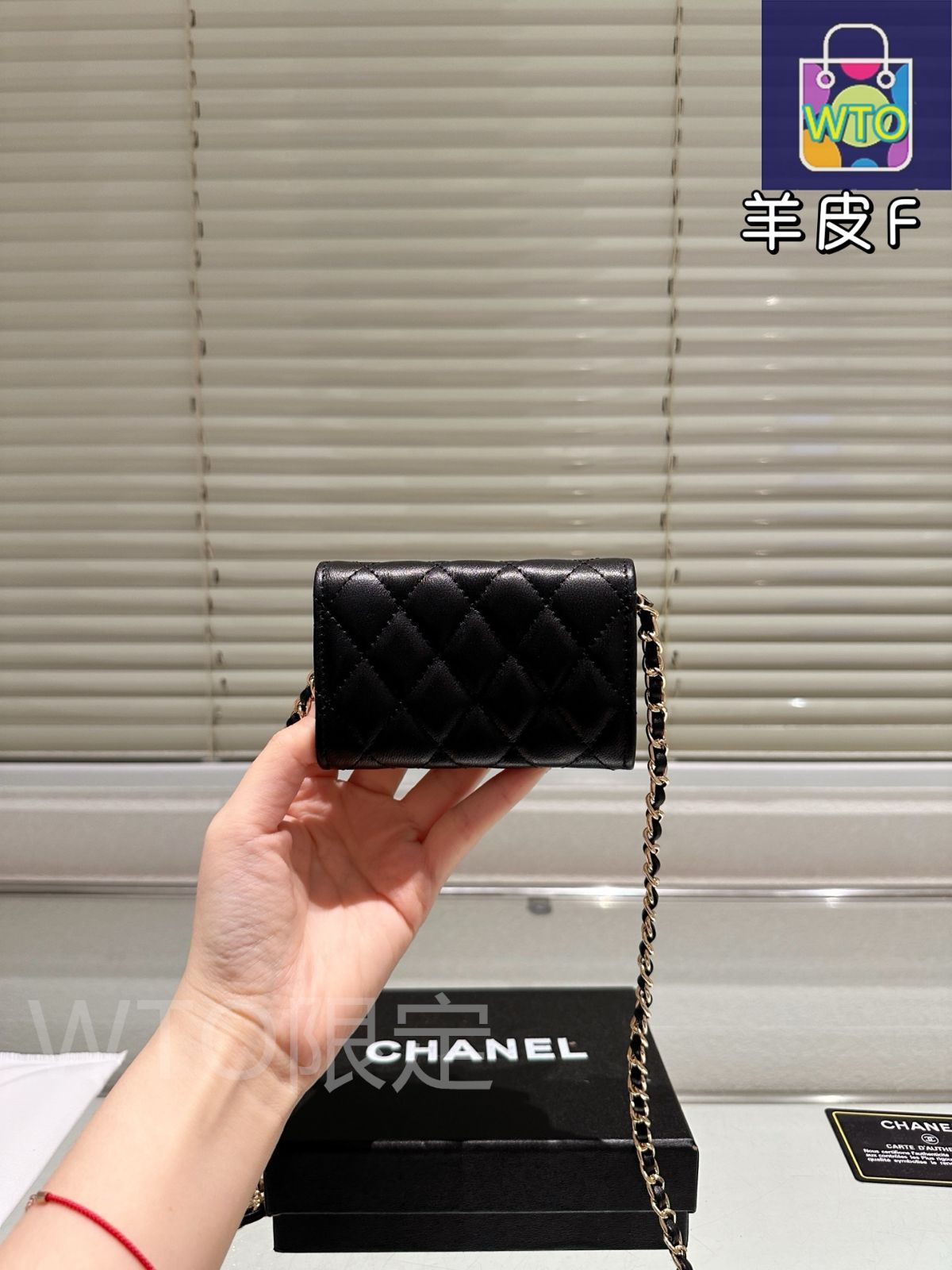 今日 CHANEL Chain Bag シャネル チェーンバッグ-WTO輸入2