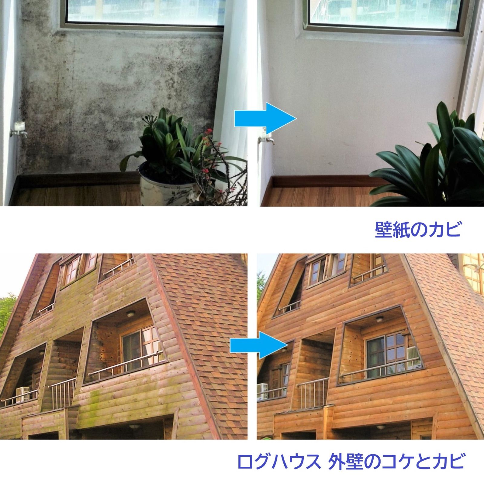 強力カビ取り剤