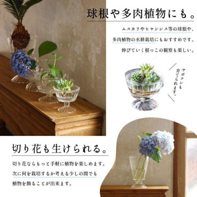 SPICE スパイス SPICE OF LIFE リボベジ ガラス カップ Lサイズ