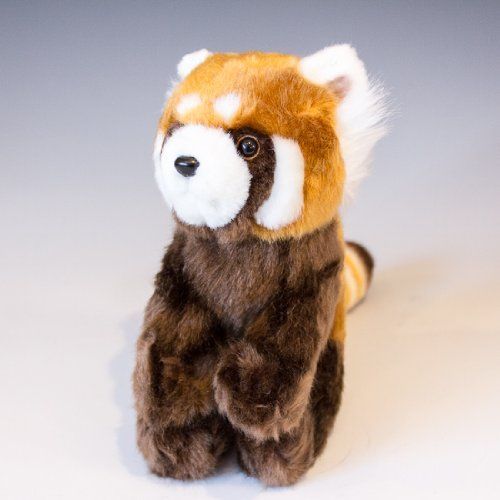 レッサーパンダぬいぐるみ 新着商品】レッサーパンダ ぬいぐるみ リアル 20905 たけのこ