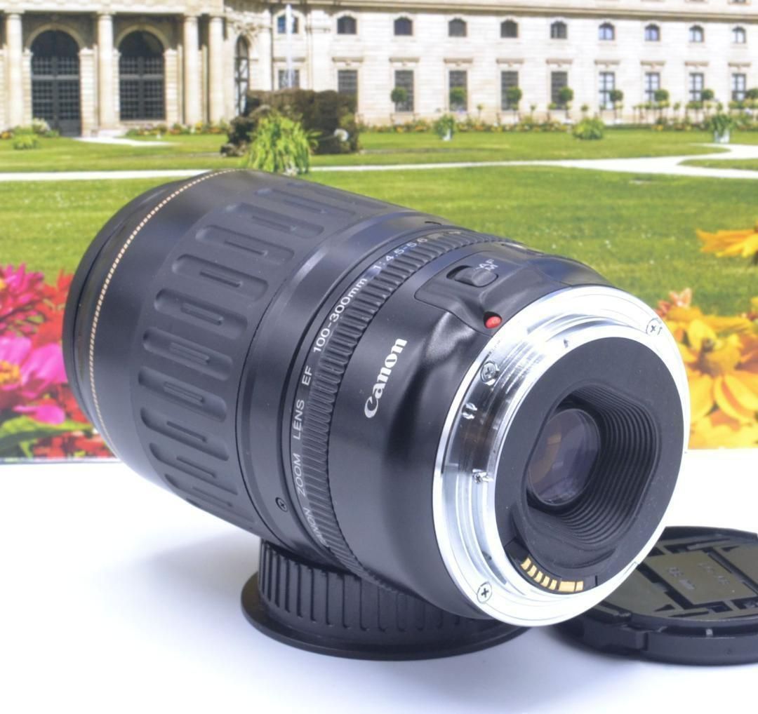 Canon キヤノン 望遠レンズ EF100-300mm キャノン - レンズ(ズーム)