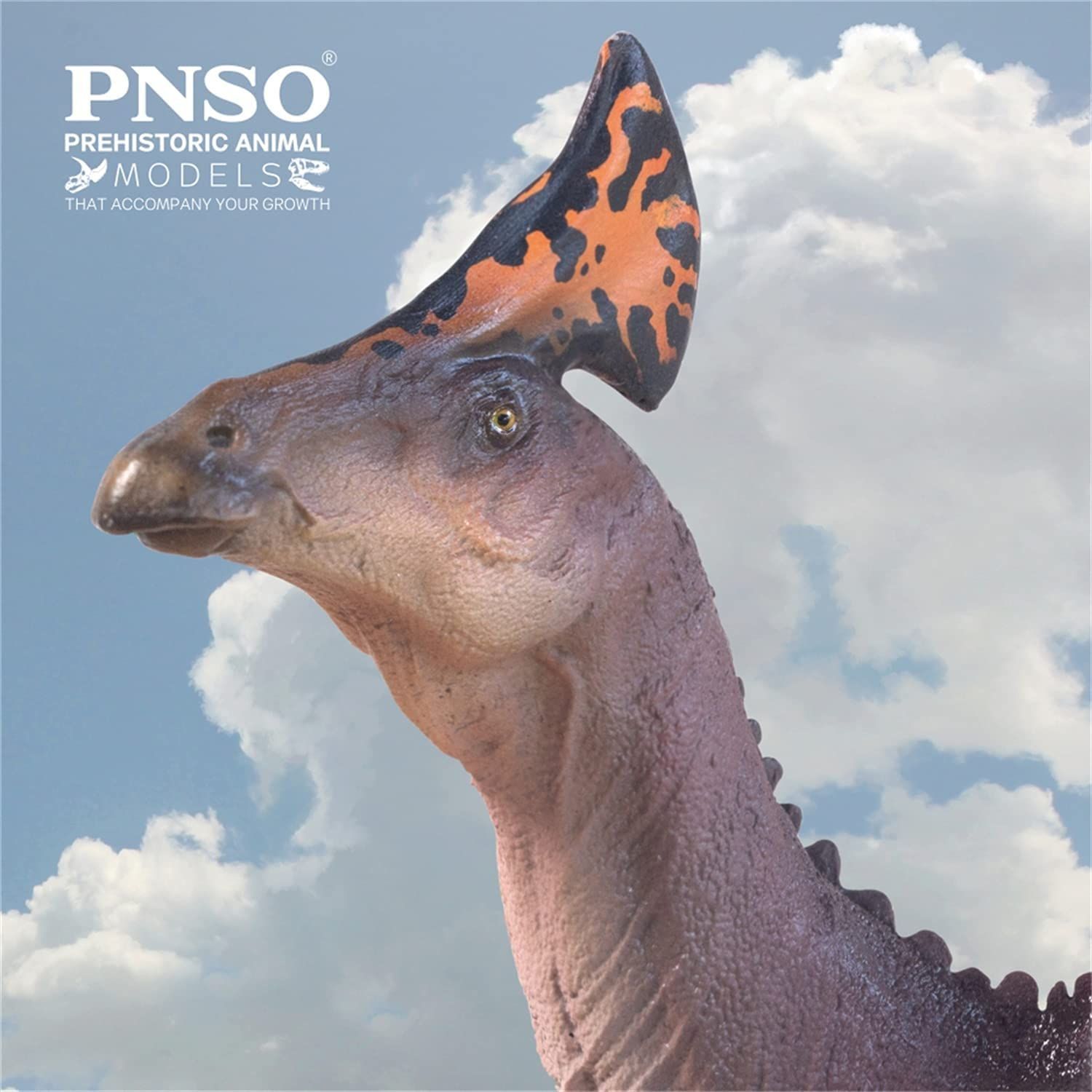 PNSO 成長シリーズ 83 ティラノティタン フィギュア 恐竜 おもちゃ 模型 Amazon | PNSO 成長シリーズ 83 ティラノティタン フィギュア