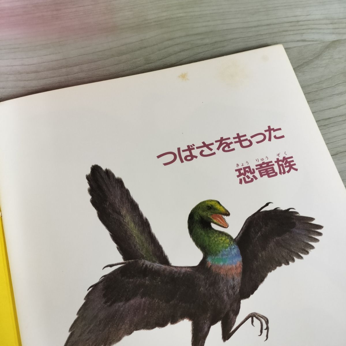 計29冊 月刊 たくさんのふしぎ 1987～92年 1990.91年揃い 福音館