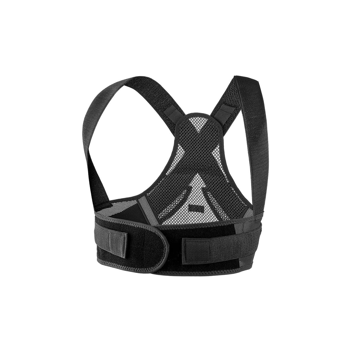 Fit BX ベルト L メーカー純正品 MTG エムティージー BX ビーエックス Style スタイル