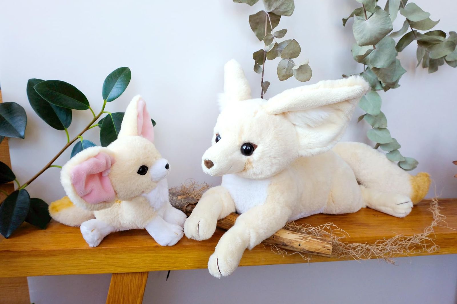 数量限定！在庫処分セール 売り切れ御免 サンレモン フェネック ぬいぐるみ 24×48×22cm ふぇねっく ひざ ぬいぐるみ