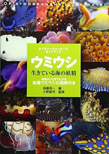 ウミウシ: 生きている海の妖精 (ネイチャーウォッチングガイド